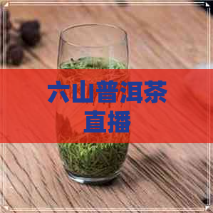 六山普洱茶直播