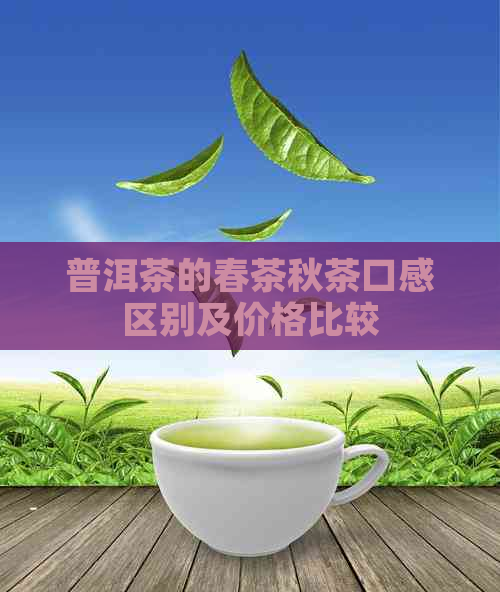 普洱茶的春茶秋茶口感区别及价格比较