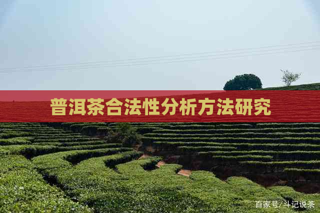 普洱茶合法性分析方法研究