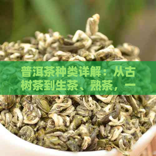 普洱茶种类详解：从古树茶到生茶、熟茶，一应俱全的全面指南