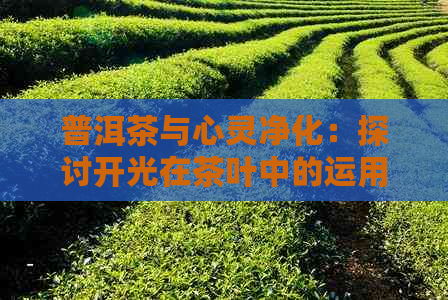 普洱茶与心灵净化：探讨开光在茶叶中的运用