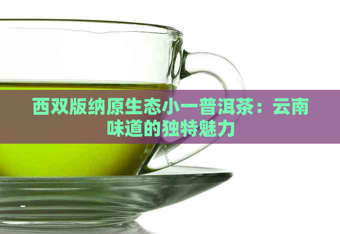 西双版纳原生态小一普洱茶：云南味道的独特魅力