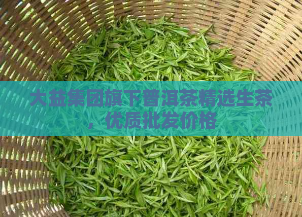 大益集团旗下普洱茶精选生茶，优质批发价格