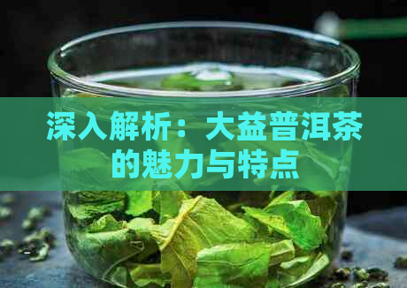 深入解析：大益普洱茶的魅力与特点