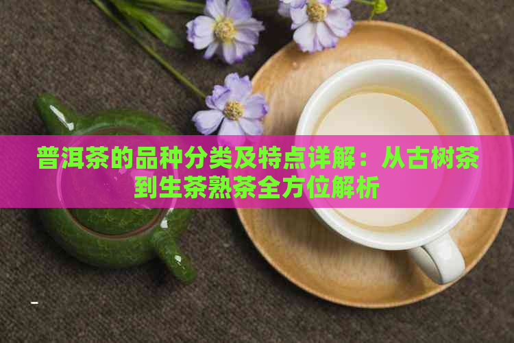 普洱茶的品种分类及特点详解：从古树茶到生茶熟茶全方位解析