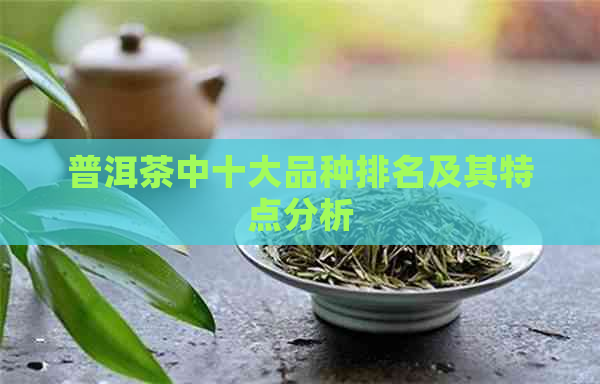 普洱茶中十大品种排名及其特点分析