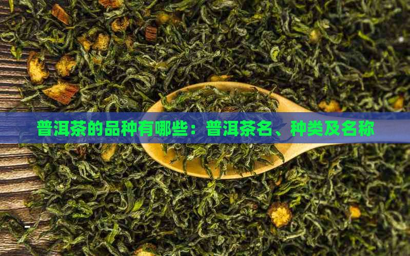 普洱茶的品种有哪些：普洱茶名、种类及名称