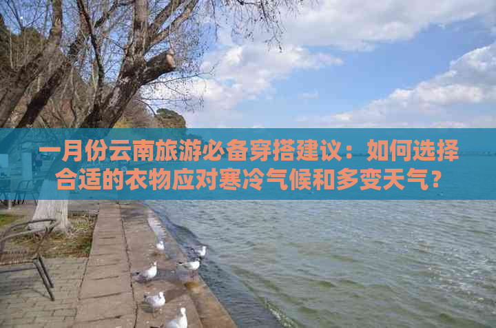 一月份云南旅游必备穿搭建议：如何选择合适的衣物应对寒冷气候和多变天气？