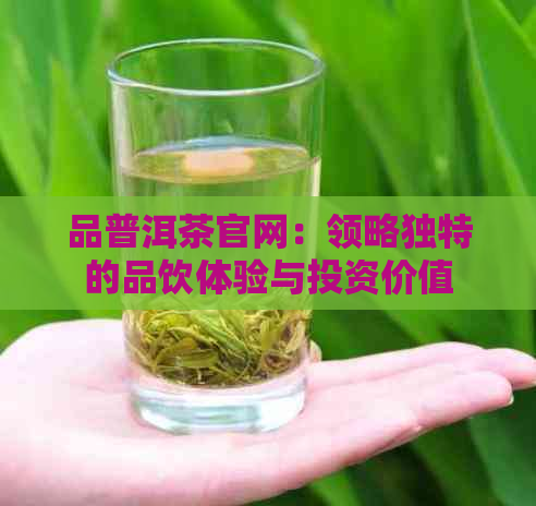 品普洱茶官网：领略独特的品饮体验与投资价值