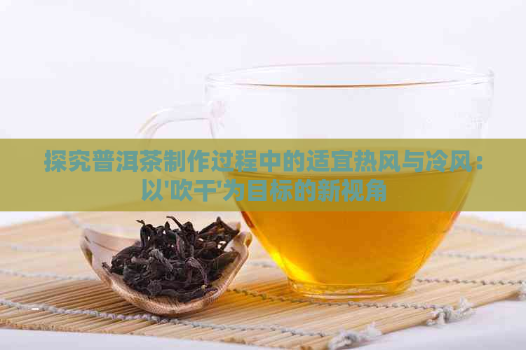 探究普洱茶制作过程中的适宜热风与冷风：以'吹干'为目标的新视角