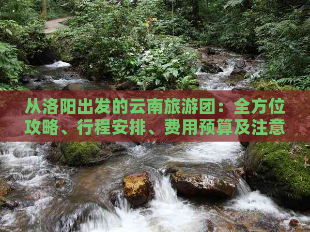 从洛阳出发的云南旅游团：全方位攻略、行程安排、费用预算及注意事项