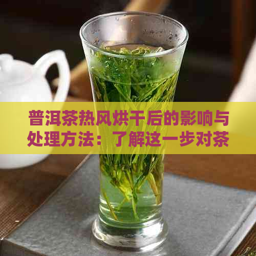 普洱茶热风烘干后的影响与处理方法：了解这一步对茶叶品质的影响及如何恢复