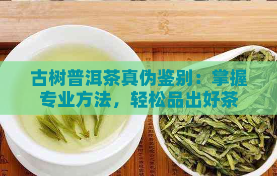 古树普洱茶真伪鉴别：掌握专业方法，轻松品出好茶