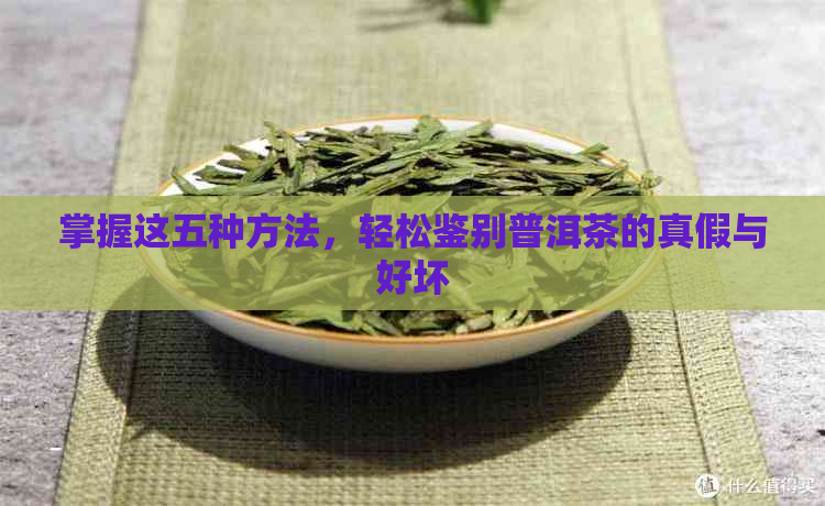 掌握这五种方法，轻松鉴别普洱茶的真假与好坏