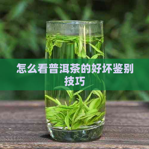 怎么看普洱茶的好坏鉴别技巧