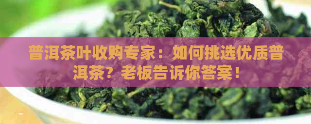 普洱茶叶收购专家：如何挑选优质普洱茶？老板告诉你答案！