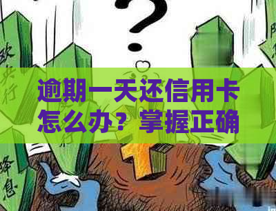 逾期一天还信用卡怎么办？掌握正确应对方法避免罚息和信用损失