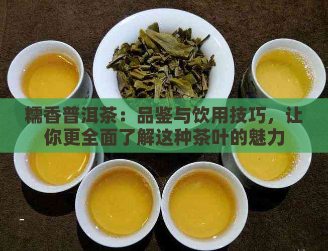 糯香普洱茶：品鉴与饮用技巧，让你更全面了解这种茶叶的魅力