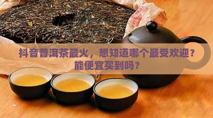 抖音普洱茶最火，想知道哪个更受欢迎？能便宜买到吗？