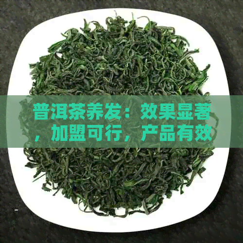 普洱茶养发：效果显著，加盟可行，产品有效