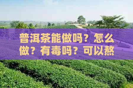 普洱茶能做吗？怎么做？有吗？可以熬吗？能煮茶喝吗？