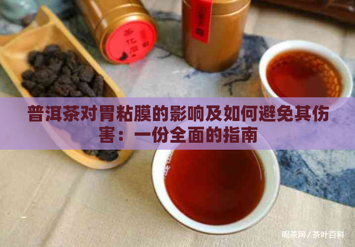 普洱茶对胃粘膜的影响及如何避免其伤害：一份全面的指南