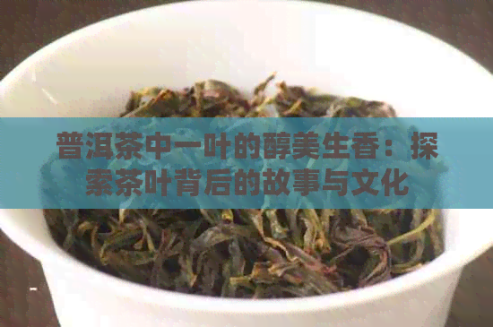 普洱茶中一叶的醇美生香：探索茶叶背后的故事与文化