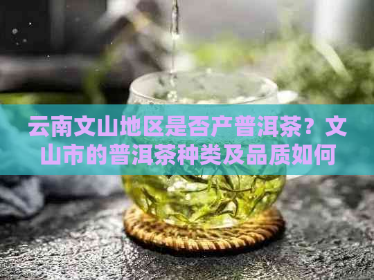 云南文山地区是否产普洱茶？文山市的普洱茶种类及品质如何？