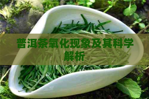 普洱茶氧化现象及其科学解析