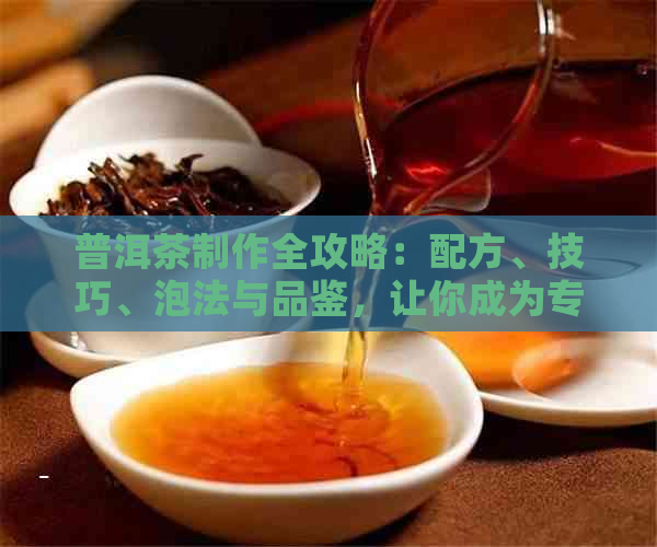 普洱茶制作全攻略：配方、技巧、泡法与品鉴，让你成为专业的普洱茶爱好者