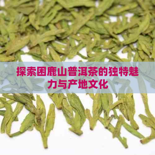 探索困鹿山普洱茶的独特魅力与产地文化