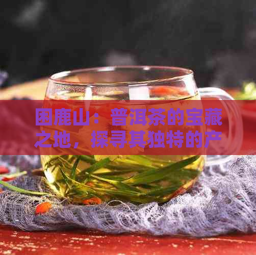 困鹿山：普洱茶的宝藏之地，探寻其独特的产区风韵