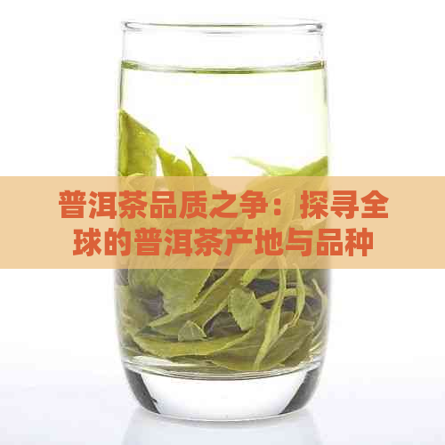 普洱茶品质之争：探寻全球的普洱茶产地与品种