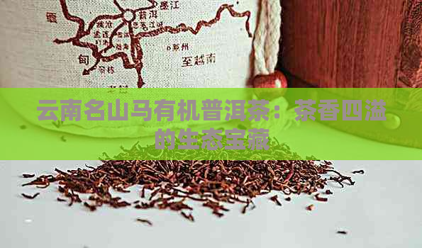 云南名山马有机普洱茶：茶香四溢的生态宝藏