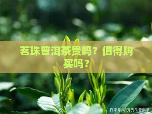 茗珠普洱茶贵吗？值得购买吗？