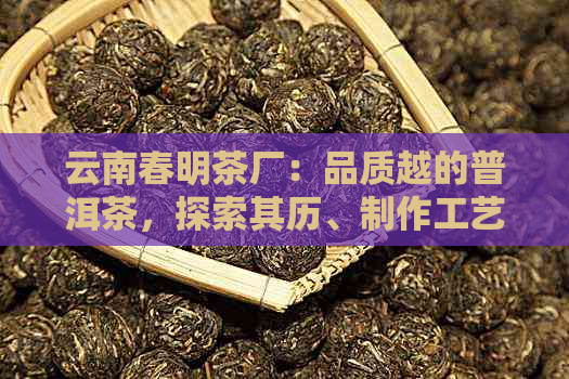 云南春明茶厂：品质越的普洱茶，探索其历、制作工艺及品饮技巧