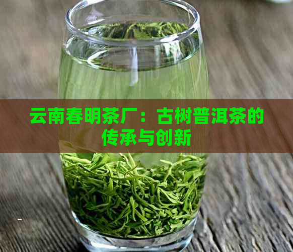 云南春明茶厂：古树普洱茶的传承与创新