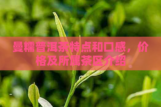 曼糯普洱茶特点和口感，价格及所属茶区介绍