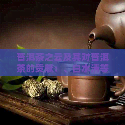 普洱茶之云及其对普洱茶的贡献：、白水清等人的介绍与比较