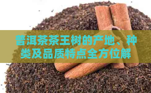 普洱茶茶王树的产地、种类及品质特点全方位解析