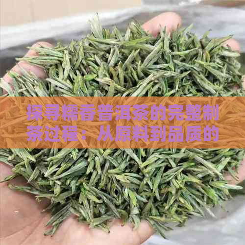 探寻糯香普洱茶的完整制茶过程：从原料到品质的全方位解析