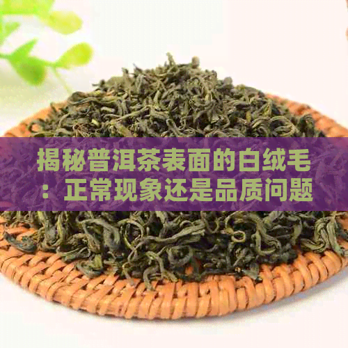 揭秘普洱茶表面的白绒毛：正常现象还是品质问题？