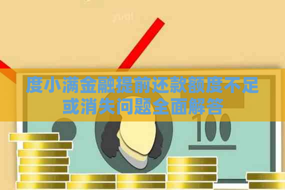 度小满金融提前还款额度不足或消失问题全面解答