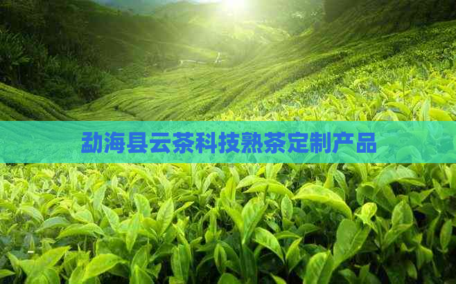 勐海县云茶科技熟茶定制产品