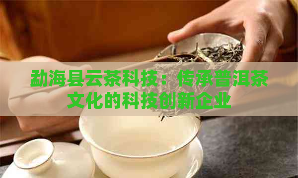 勐海县云茶科技：传承普洱茶文化的科技创新企业