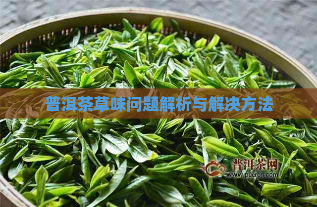 普洱茶草味问题解析与解决方法