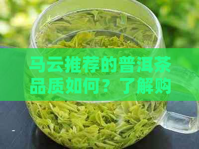 马云推荐的普洱茶品质如何？了解购买与品鉴方法，全面评价马云推荐的普洱茶