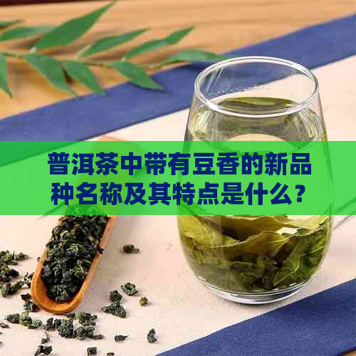 普洱茶中带有豆香的新品种名称及其特点是什么？