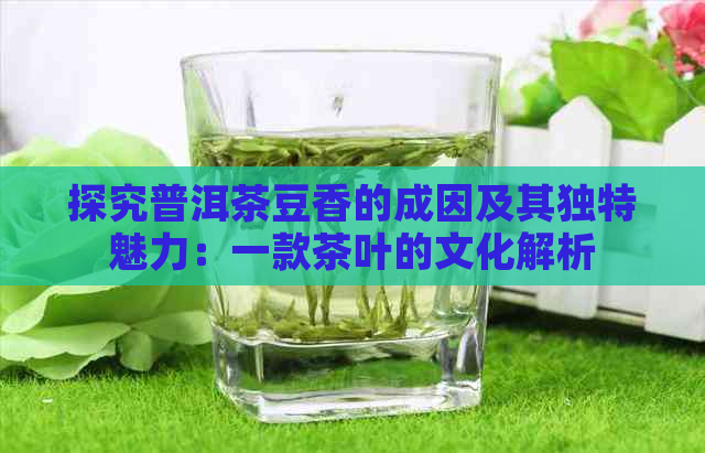 探究普洱茶豆香的成因及其独特魅力：一款茶叶的文化解析