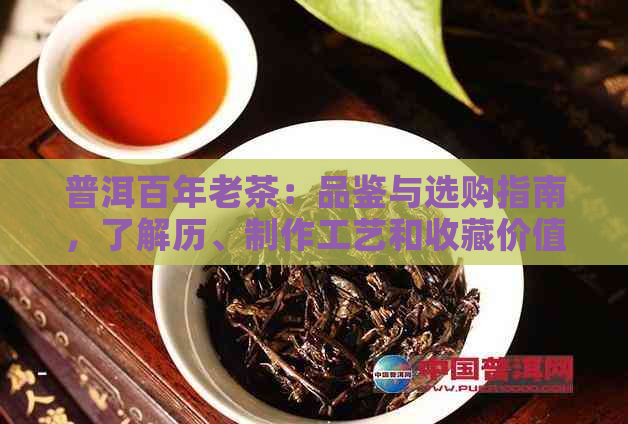 普洱百年老茶：品鉴与选购指南，了解历、制作工艺和收藏价值